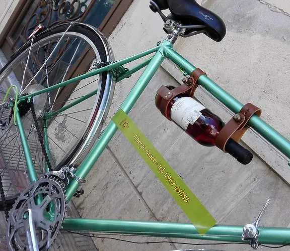 Ristorante Grace 酒店 维博瓦伦蒂亚