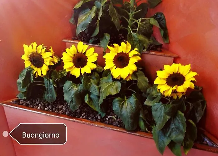 Ristorante Grace 维博瓦伦蒂亚