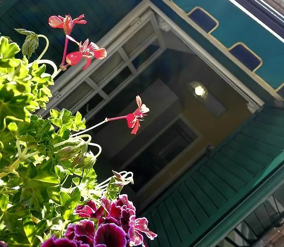 酒店 Ristorante Grace 3*