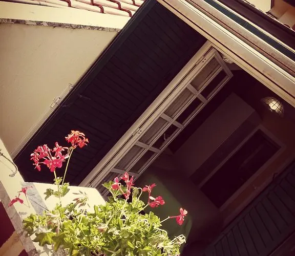 酒店 Ristorante Grace 3*