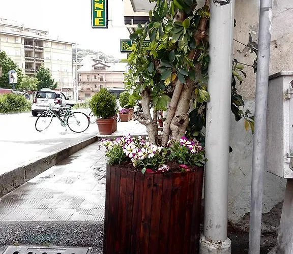 酒店 Ristorante Grace 维博瓦伦蒂亚