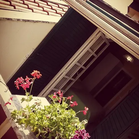Hotell Ristorante Grace 3*